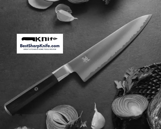 Miyabi Kohn knife